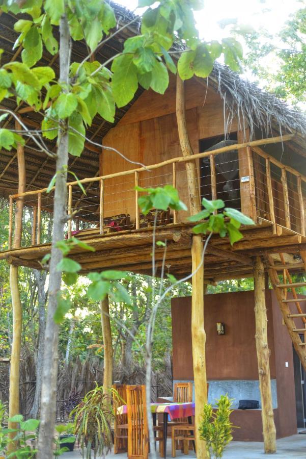 Апартаменты Pidurangala View Treehouse Сигирия Экстерьер фото