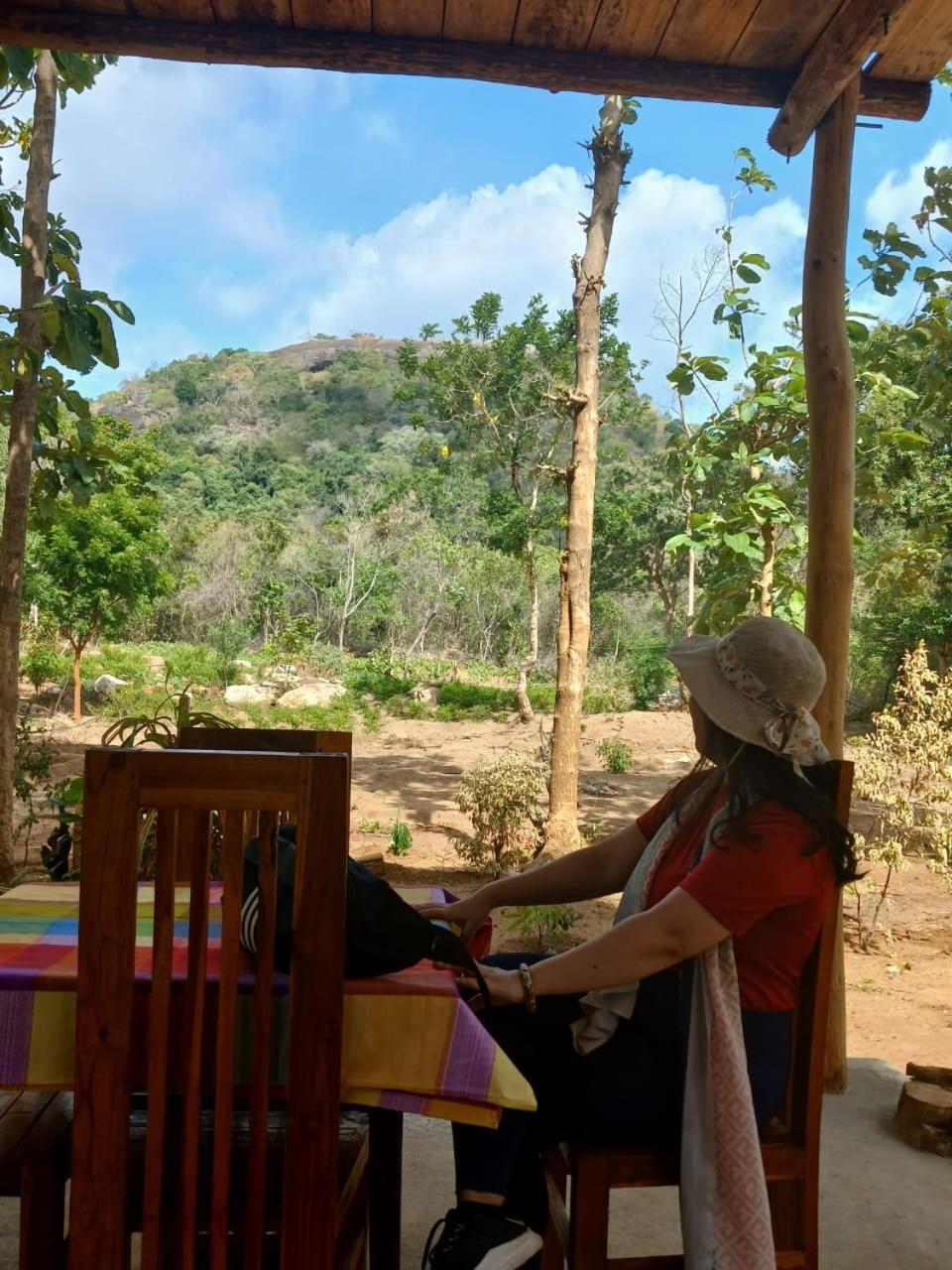 Апартаменты Pidurangala View Treehouse Сигирия Экстерьер фото