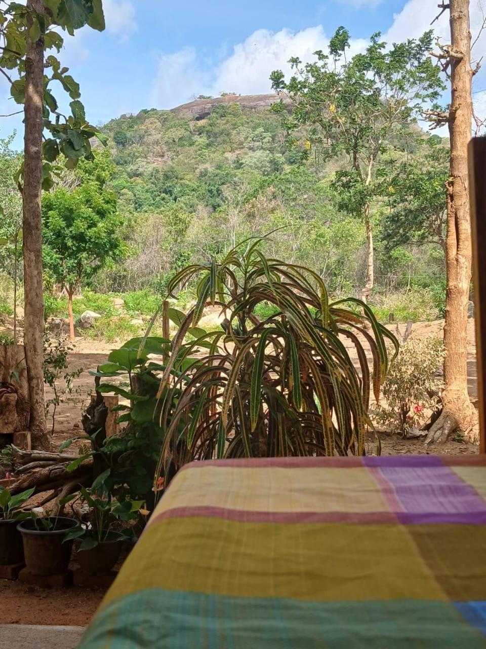 Апартаменты Pidurangala View Treehouse Сигирия Экстерьер фото