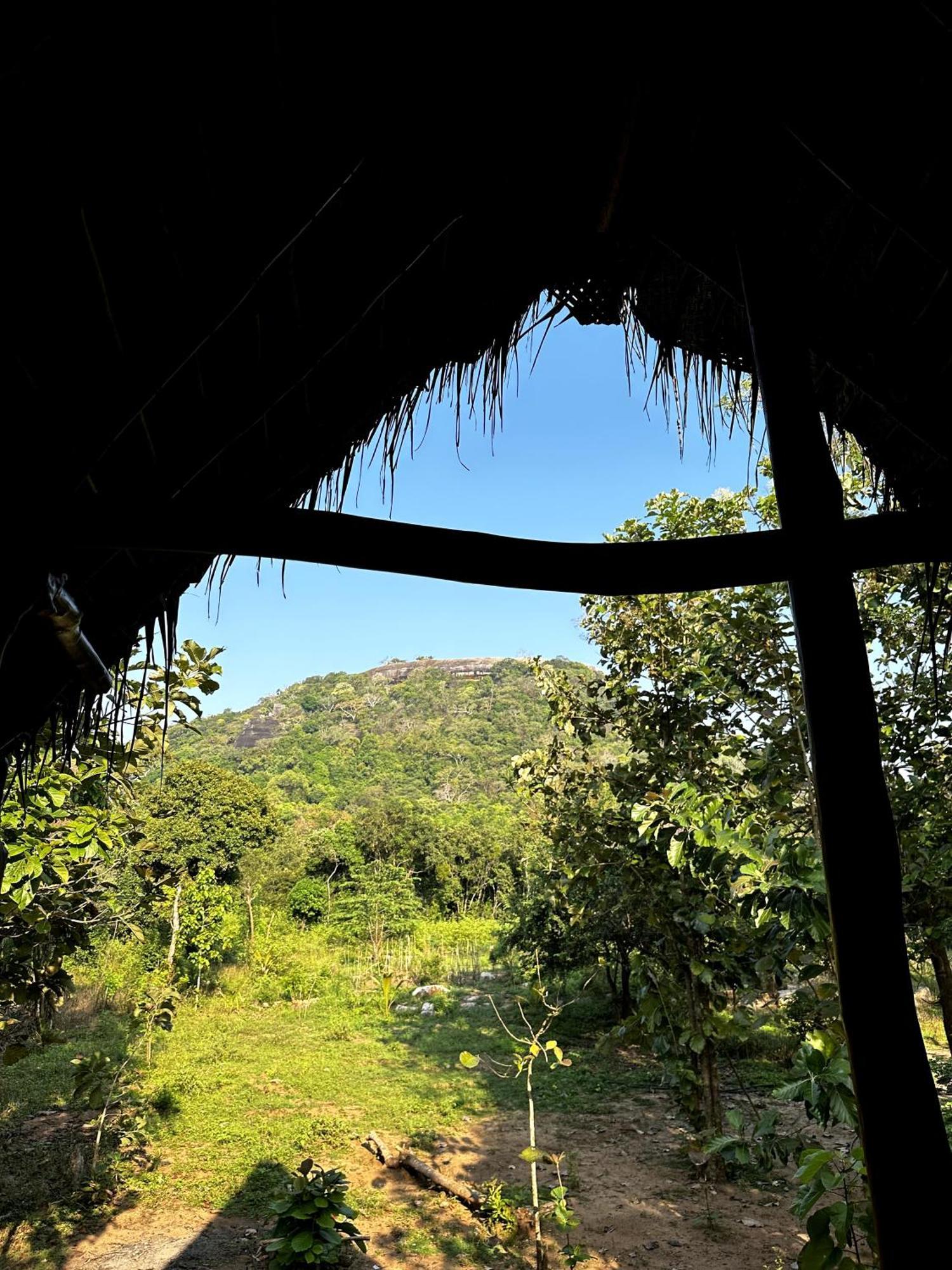 Апартаменты Pidurangala View Treehouse Сигирия Экстерьер фото