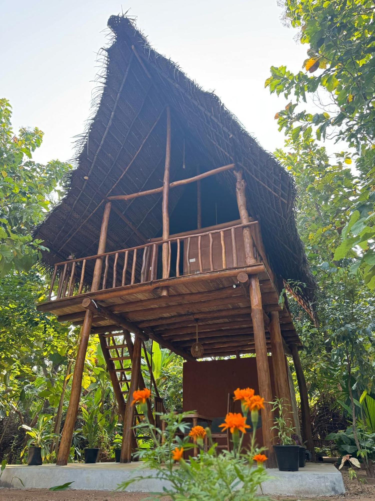 Апартаменты Pidurangala View Treehouse Сигирия Экстерьер фото
